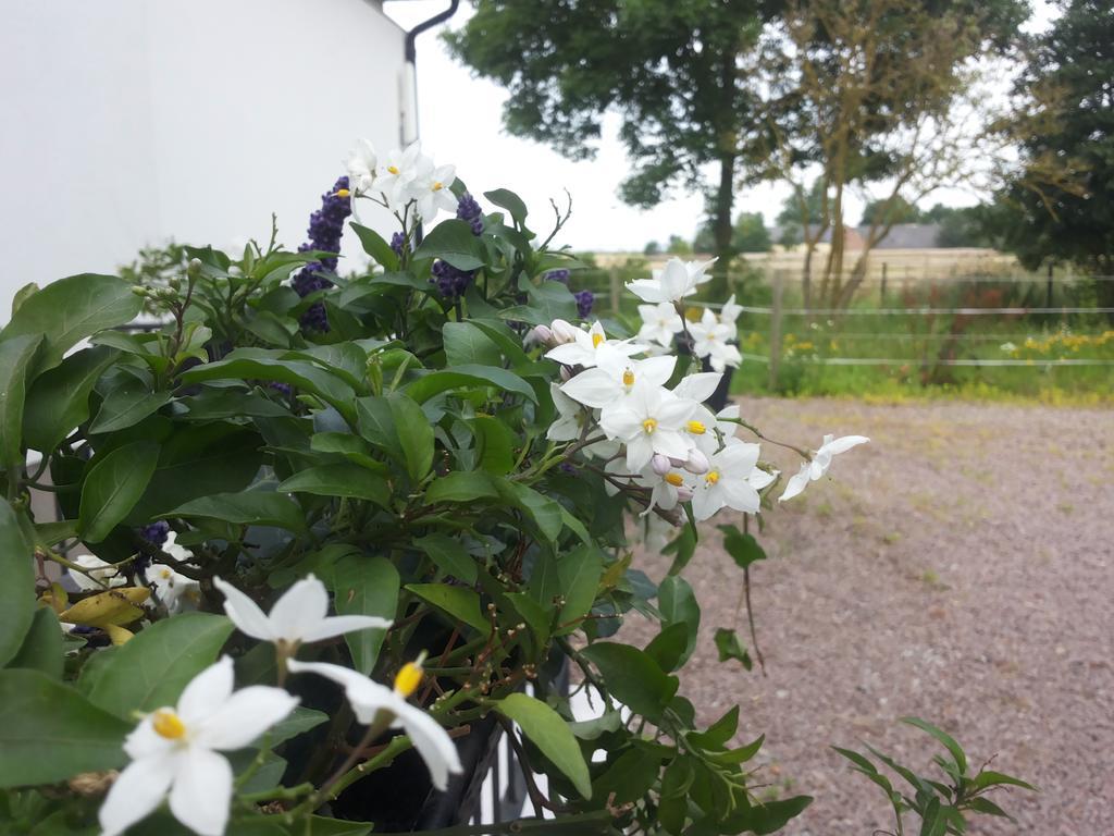 Laegenhet Lillisgarden Guest House Vallakra ภายนอก รูปภาพ